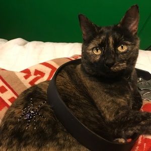 Meet your Posher, Sara